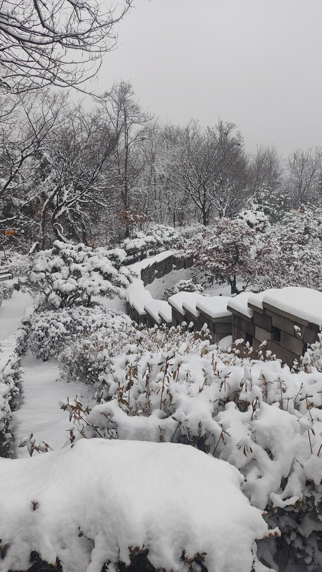 Seoul Namsan Stay エクステリア 写真