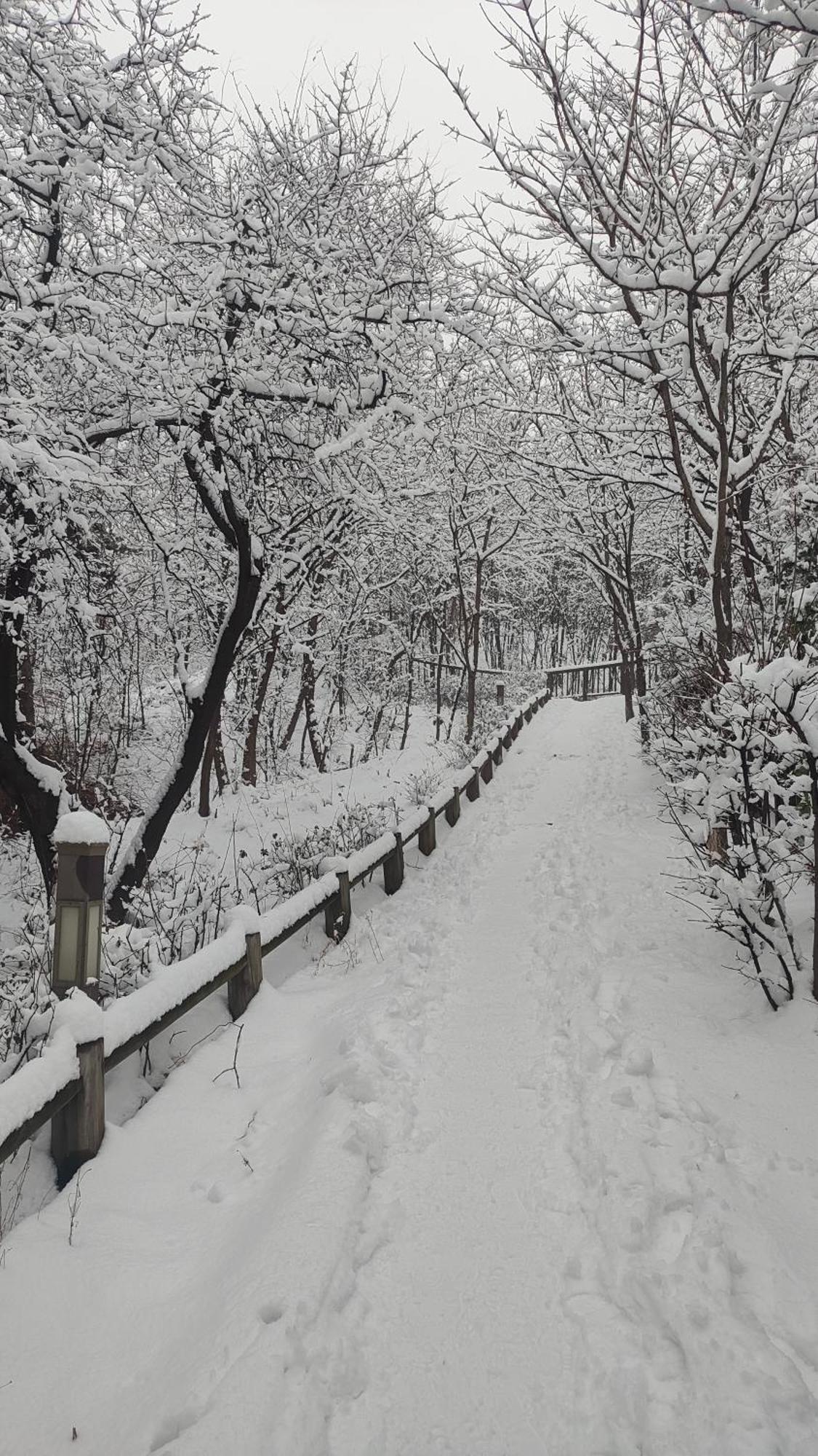 Seoul Namsan Stay エクステリア 写真