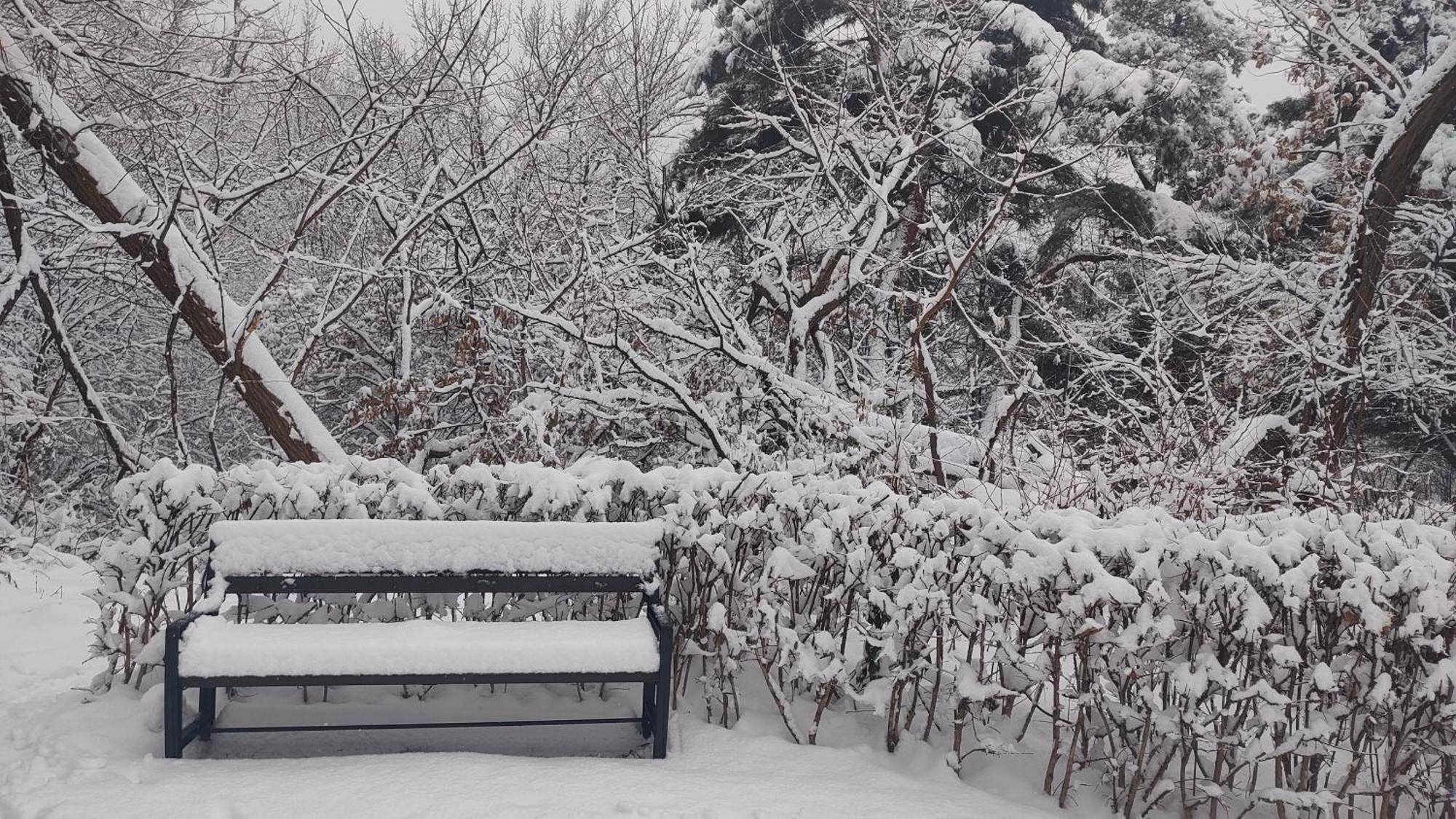 Seoul Namsan Stay エクステリア 写真